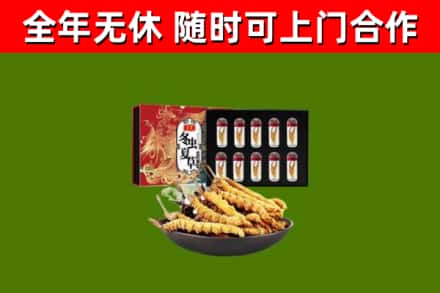 恭城烟酒回收冬虫夏草礼盒.jpg